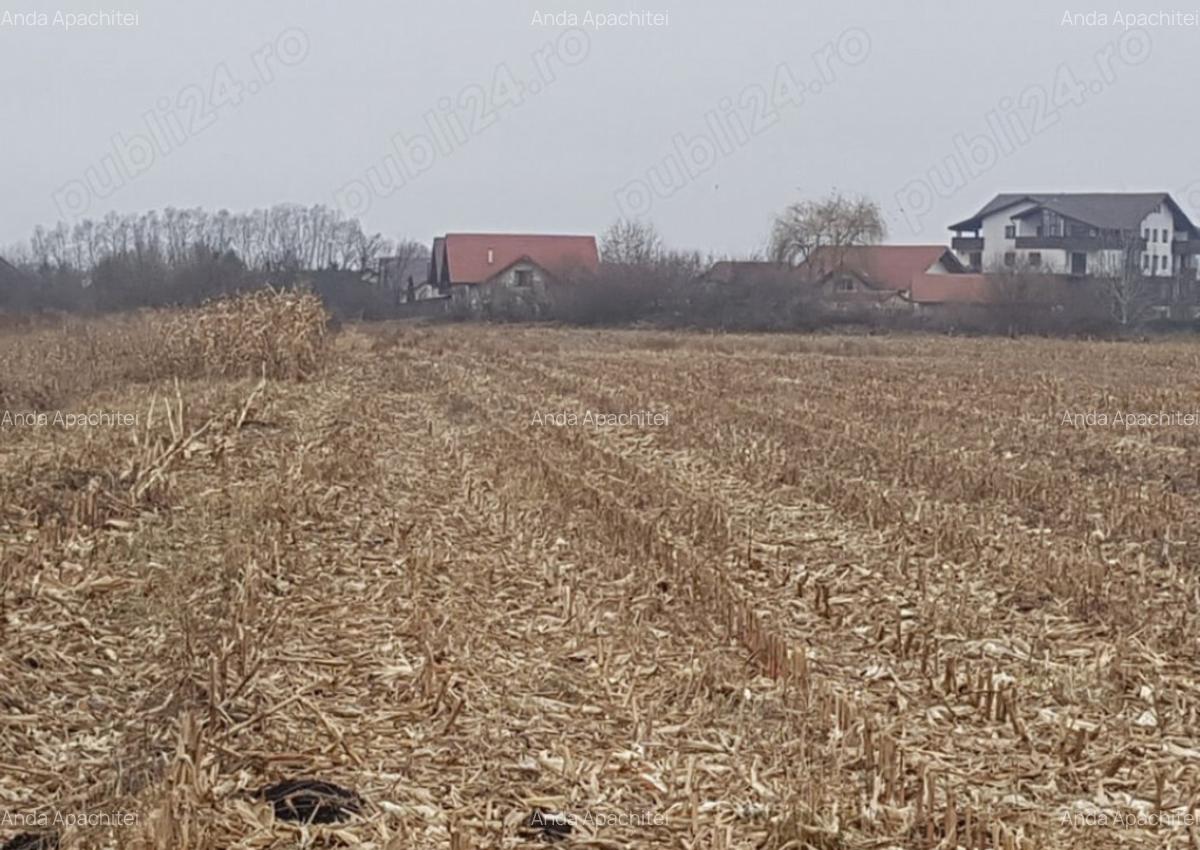 Teren Intravilan 2932 mp Stupini - 3