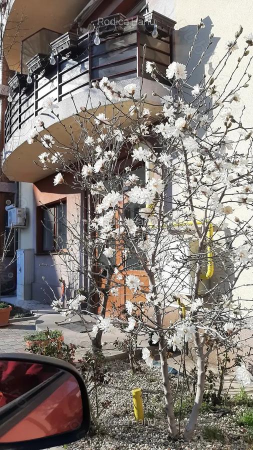 Vand ap 2cam, et 2 Bacau. Loc de parcare inclus in pret . - 10