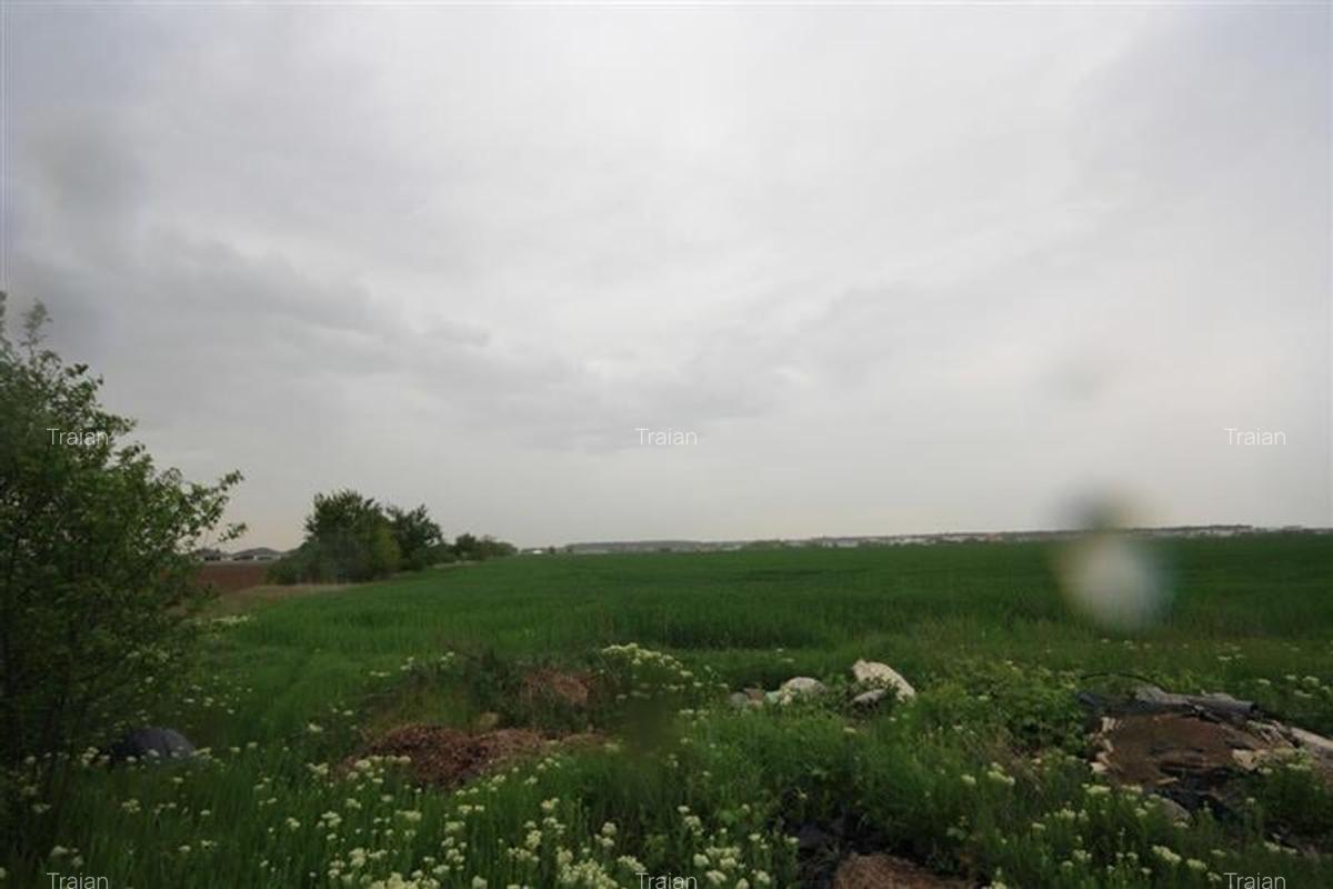 Teren 12500 mp, de vanzare, Tunari, negociabil - 2