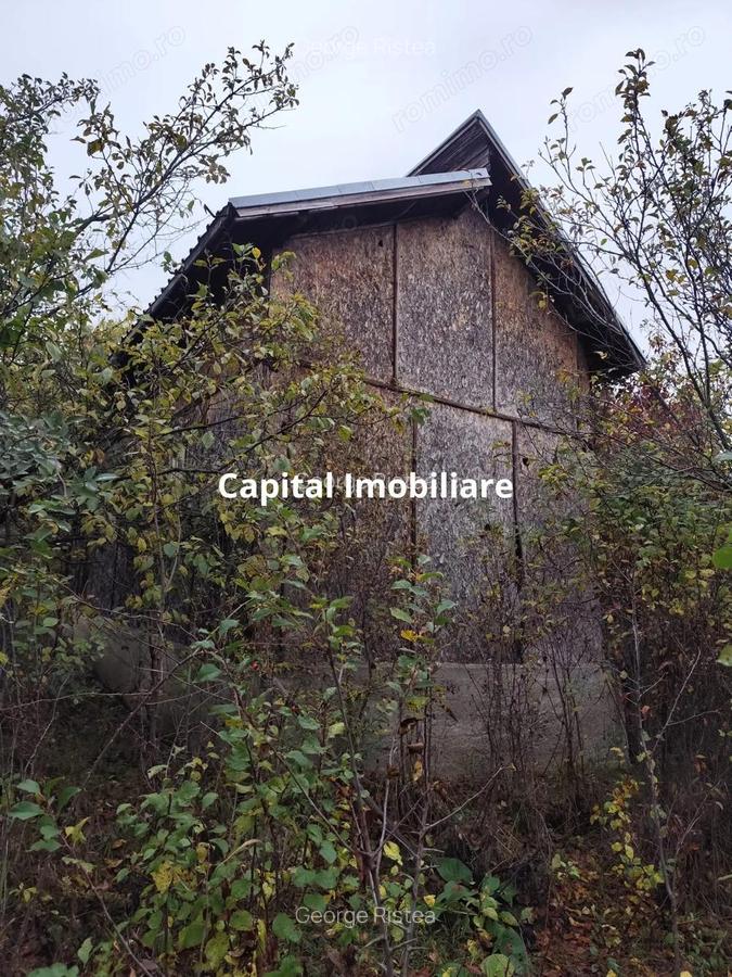 Casa Veche, Central Drajna de Jos 5000 mp - 1