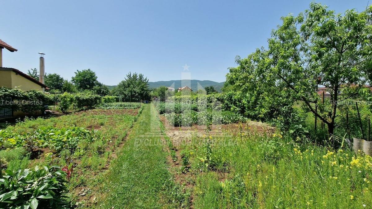Teren intre Alba-Micesti, partea dreapta - 7