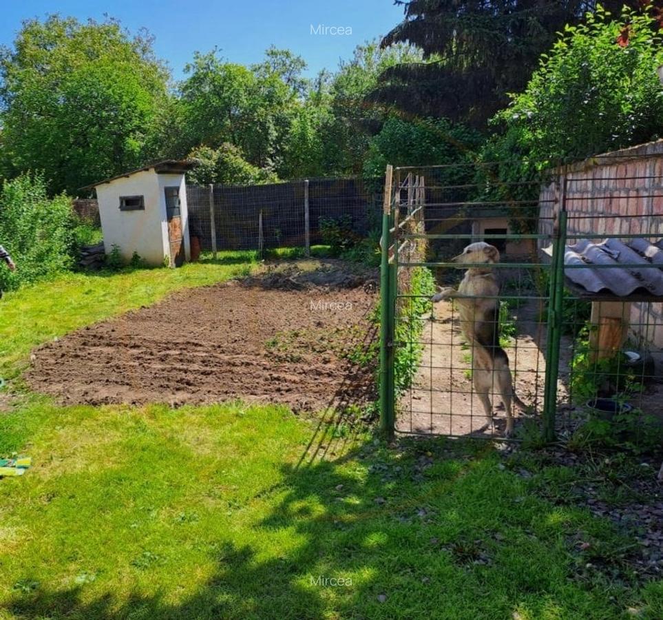 De vanzare Apartament in casa, 3 camere ,str Argesului - 9