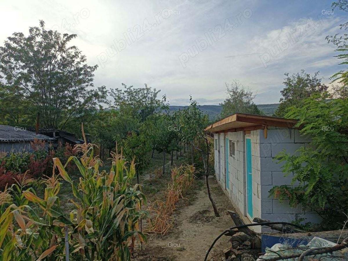 Casa cu curte si gradina - zona linistita si frumoasa - 4