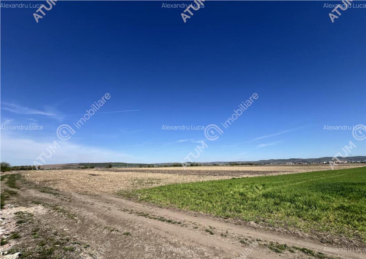 Teren intravilan in Sibiu 3300 mp situat in zona Calea Suri - 5