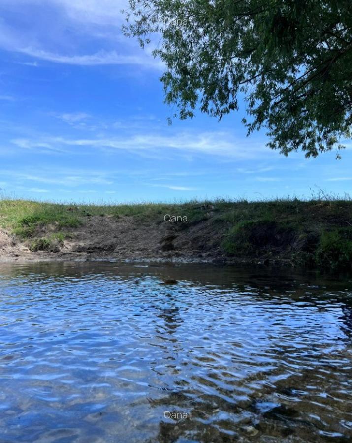 Casa si spatiu comercial in Singureni, Giurgiu - 3