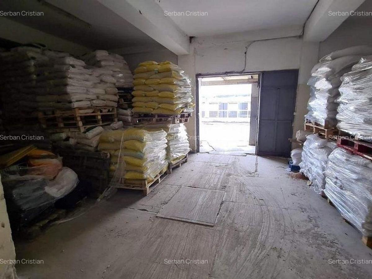 Drumul Intre Tarlale spatiu productie 400-1500 mp - 20
