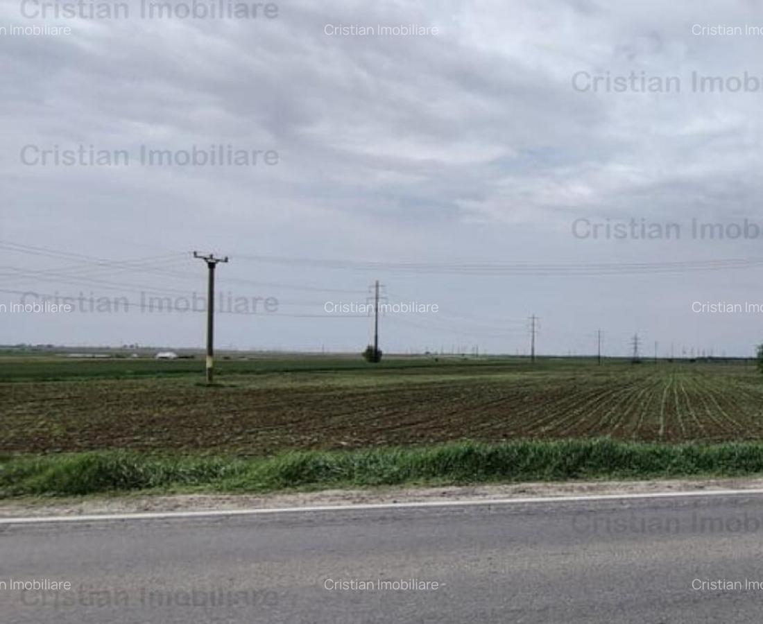 Teren soseaua de Centura, la sosea, 7500 mp - 1