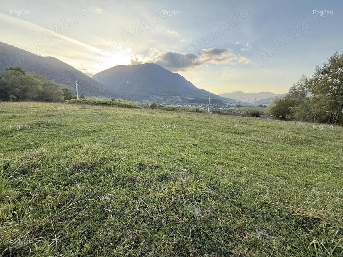 Teren intravilan 500 sau 1000 mp Bran-Tohanita la dum asfaltat - 5