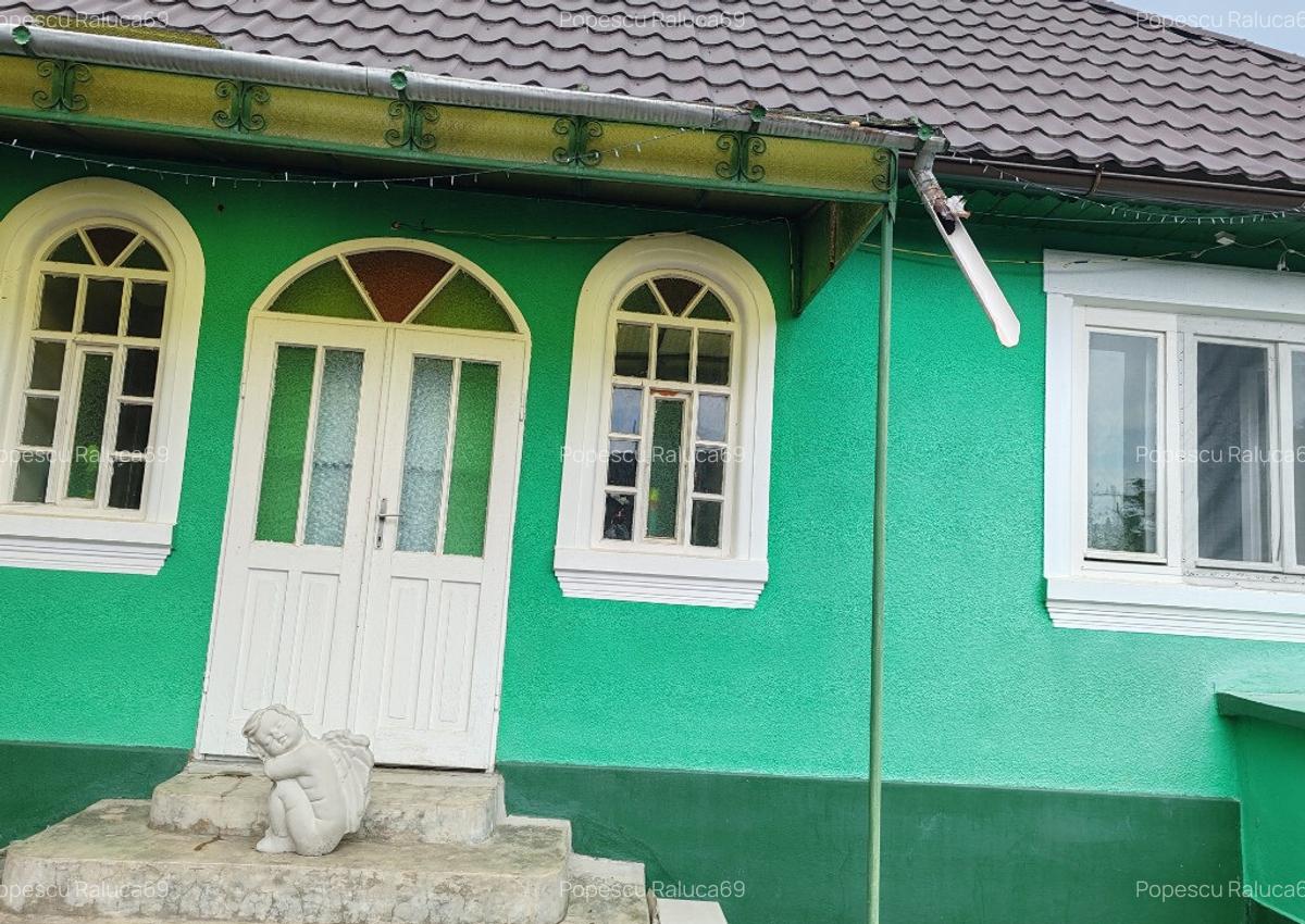 Casa langa padure-liniste, aer curat Vingard, Alba - 4