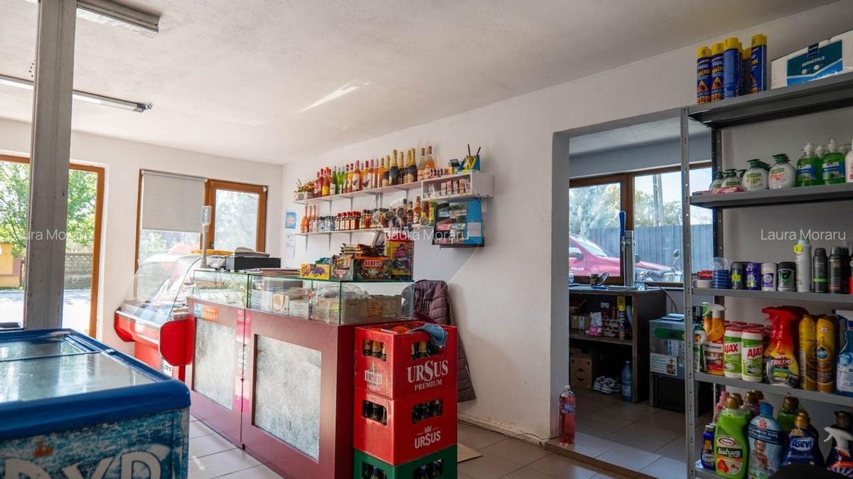 Vanzare vila si spatiu comercial, cu gradina si garaj-zona Corbii Mari - 11