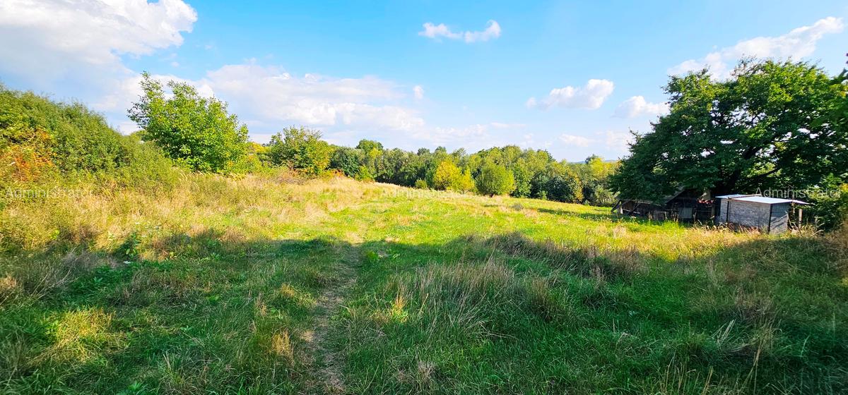 Proprietate la rosu, situata la 15 km de Piatra Neamt - 6