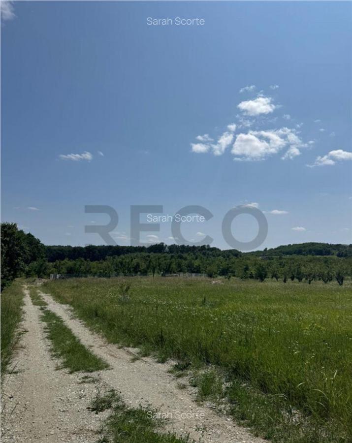 RECO teren in Paleu - 3