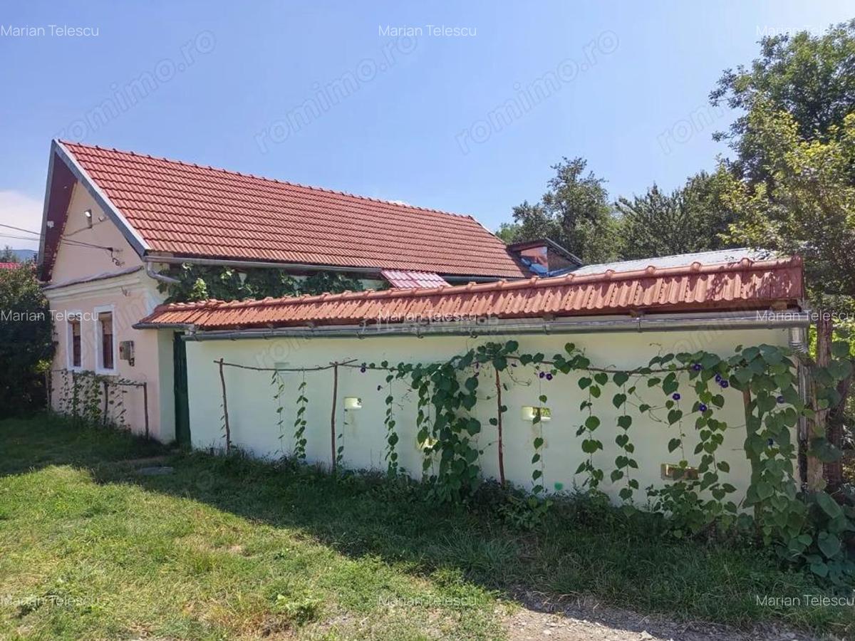 Ilidia, Casa de Vacanta, 3 Camere, 899mp Teren, Usor Negociabil - 2