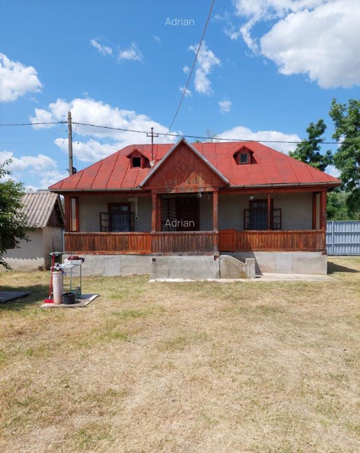 Vand casa cu livada in satul Ionesti Arges - 1