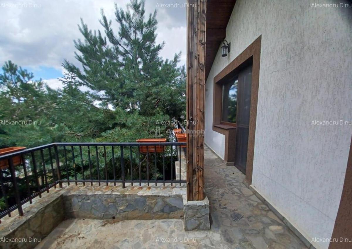 Vila Branesti 5 camere - 12