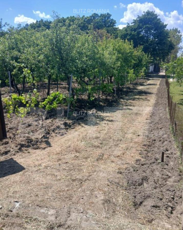 Casa de vanzare 800 mp curte, 32 mp utili, zona Exterior Sud - 2