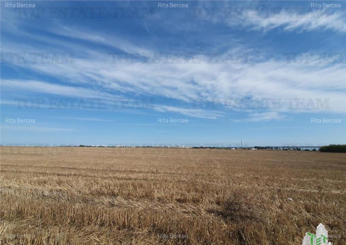 Teren Techirghiol - 6