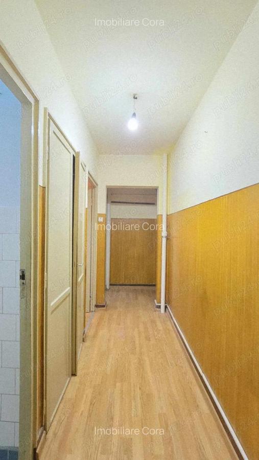 Ap 3 cam tip T de vanzare str Razboieni - 18