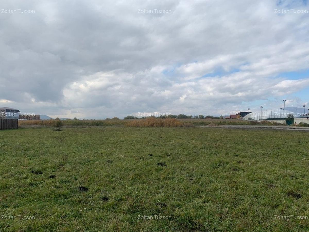 Teren de vanzare - 1