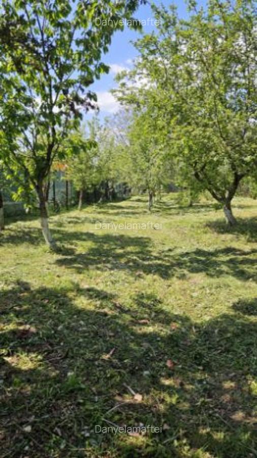 Casa de vanzare în loc. Dițești, com. Filipeștii de Pădure, jud. Prahova - 10