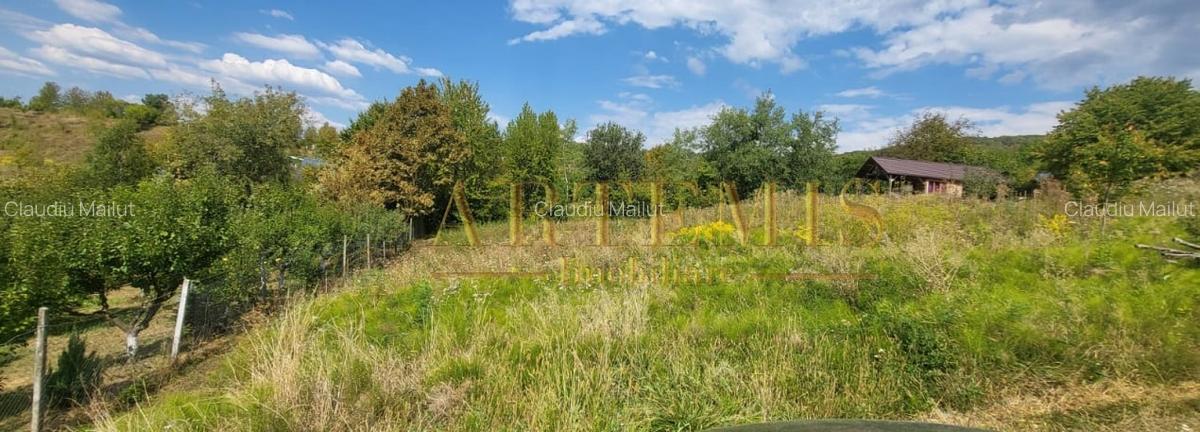 Teren intravilan 1279 mp , Valea Budacului - 3