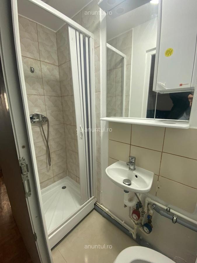 Drumul Taberei Timisoara- Romancierilor langa Hotel City - 8