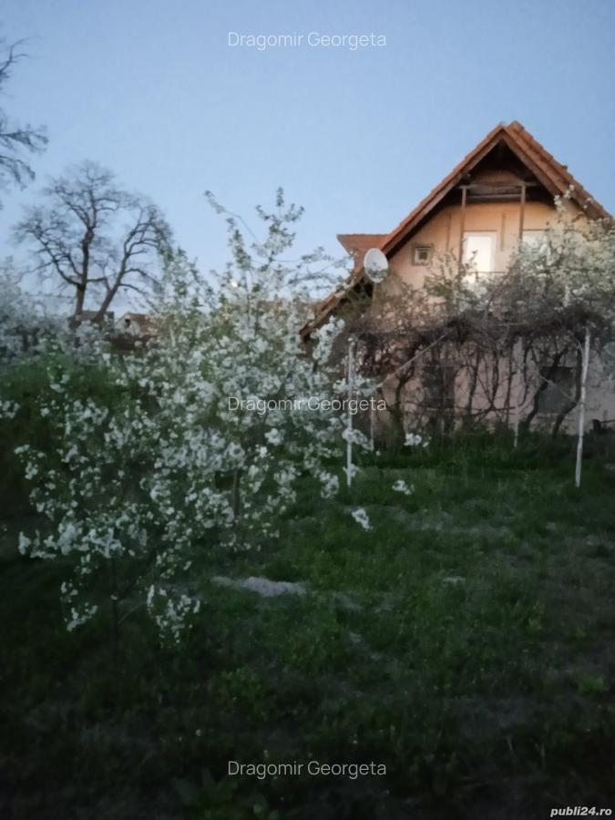 Vanzare casa - 1