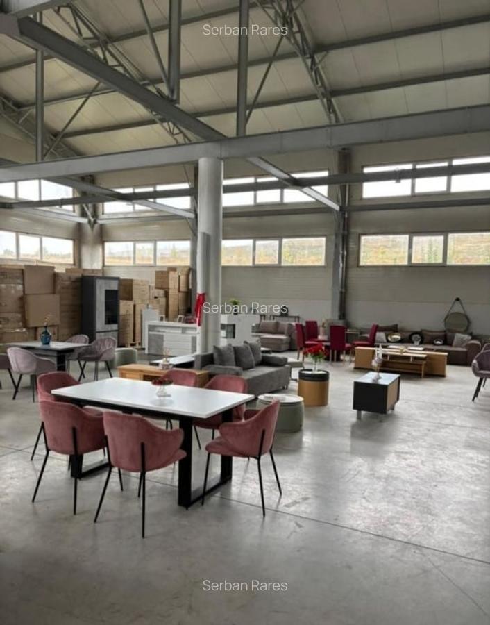 Hala Depozitare | Spatiu Industrial | Zona strazii Oasului - 3