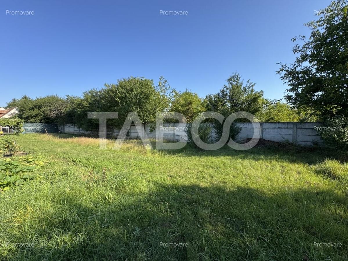 Teren intravilan 4783 mp - Oportunitate de investitie Turnisor Sibiu - 1