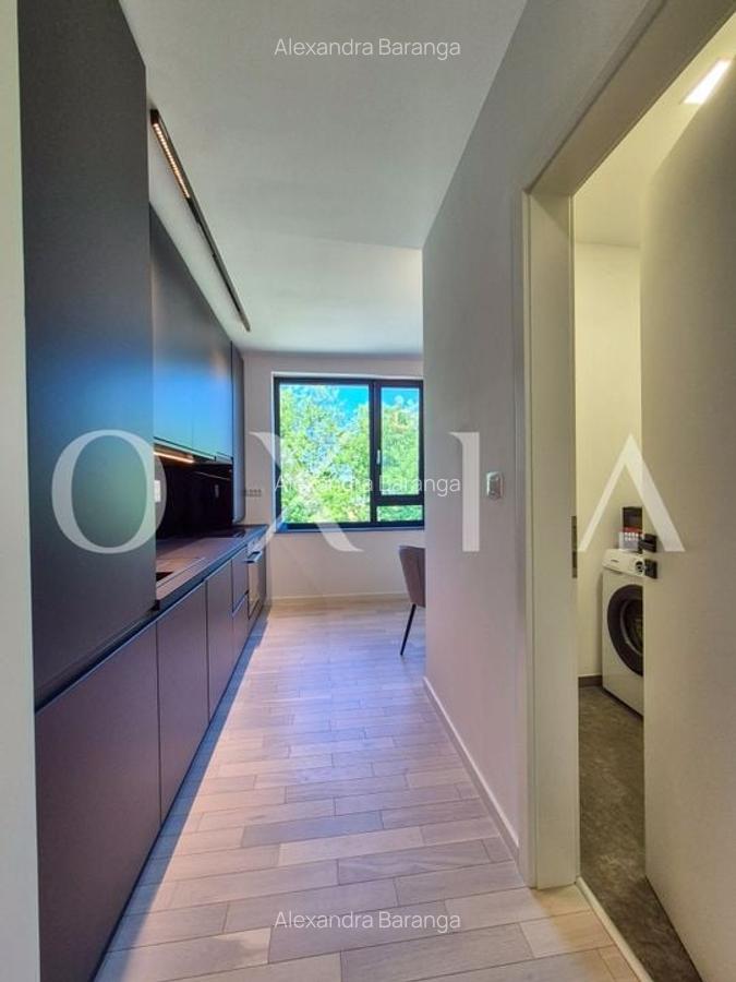 AX1068 Dumbravita, Bulevardul Petre Tutea, Prima Inchiriere - 13