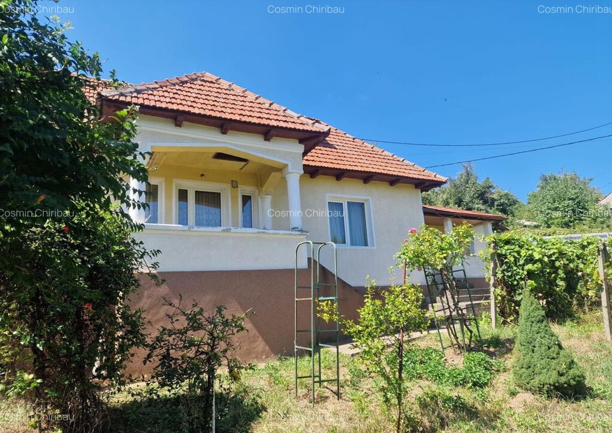 Casa in mediu rural cu teren - 2