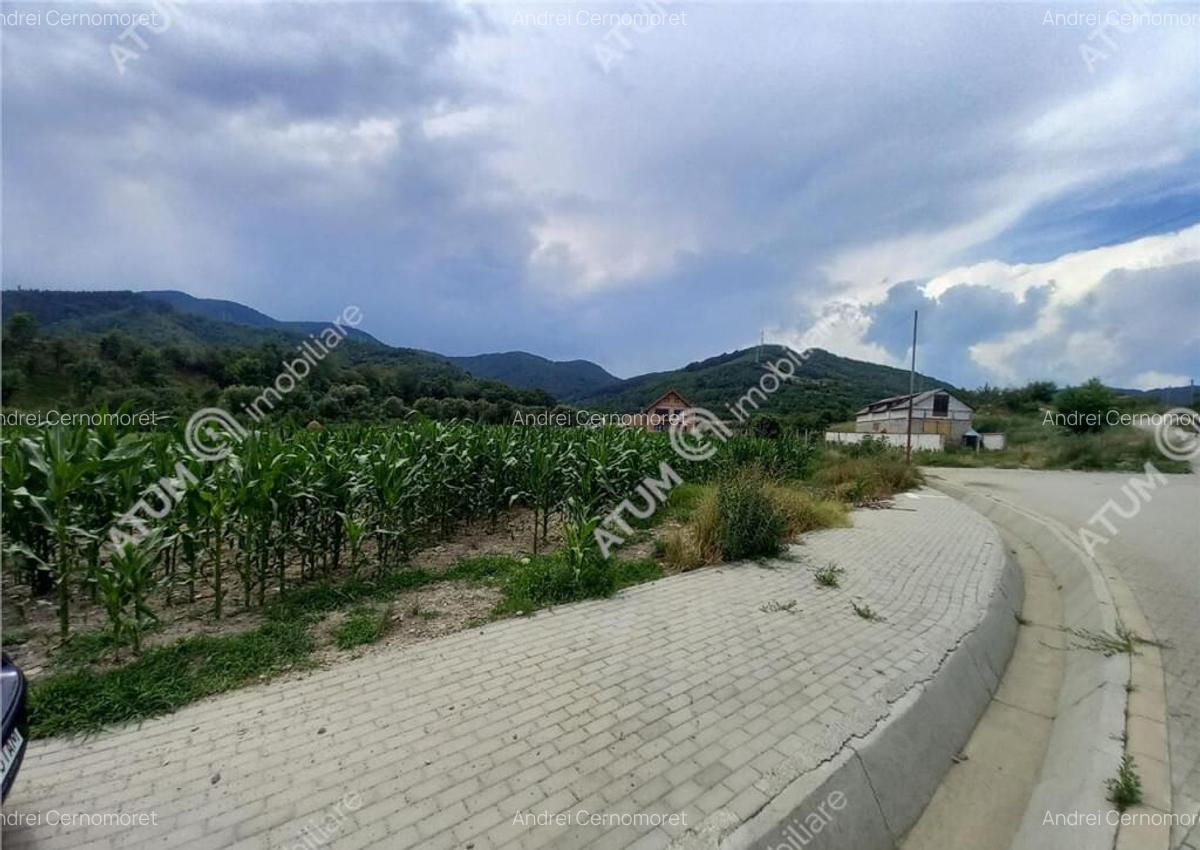 De 733 mp in Boita Sibiu - 1