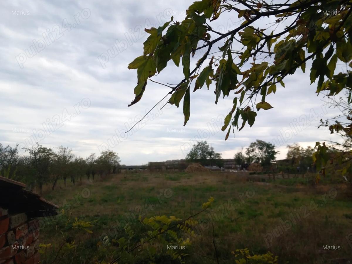 Vand casa sat Ivanda comuna Giulvaz Proprietar - 4 Vand casa sat Ivanda comuna Giulvaz Proprietar - 4