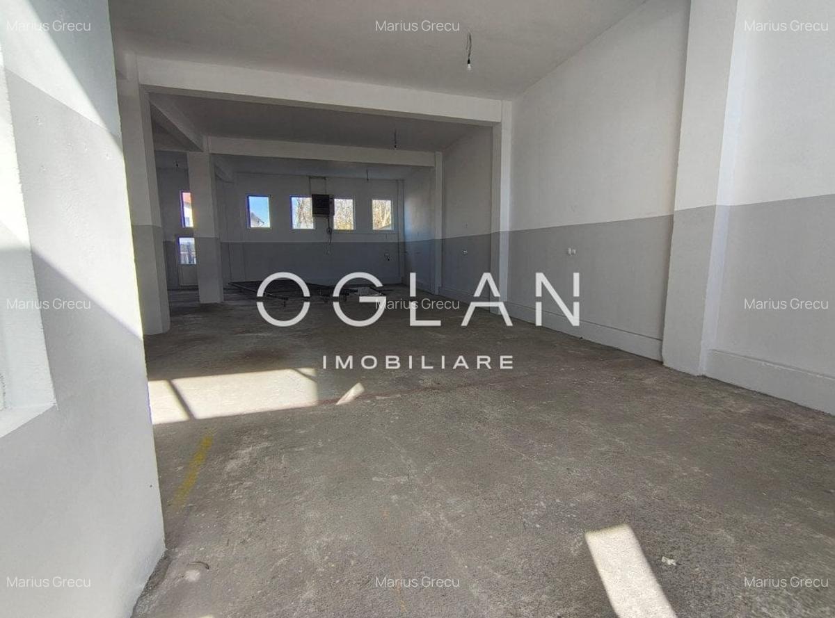 Spatiu comercial 450 mp (P+E)- zona Terezian - 12