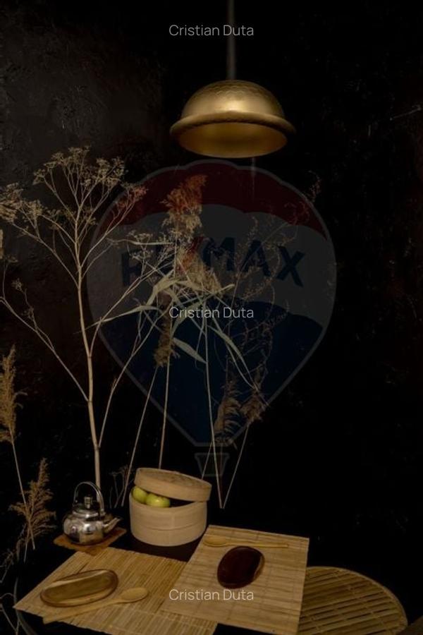 Apartament cu 2 camere de inchiriat in zona Ferdinand - 5