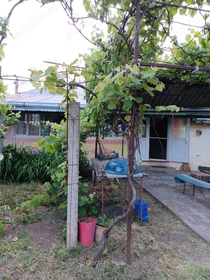 Casa in Miorcani - 3