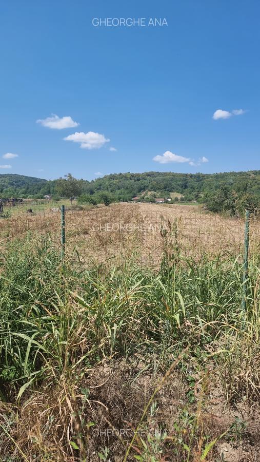 Teren 5236mp, Mihaesti - 1