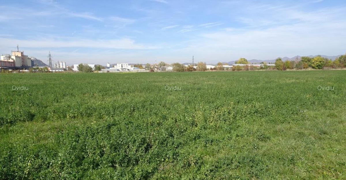 Vand teren intravilan in Deva suprafata totala 43 000 mp, zona Auchan - 6