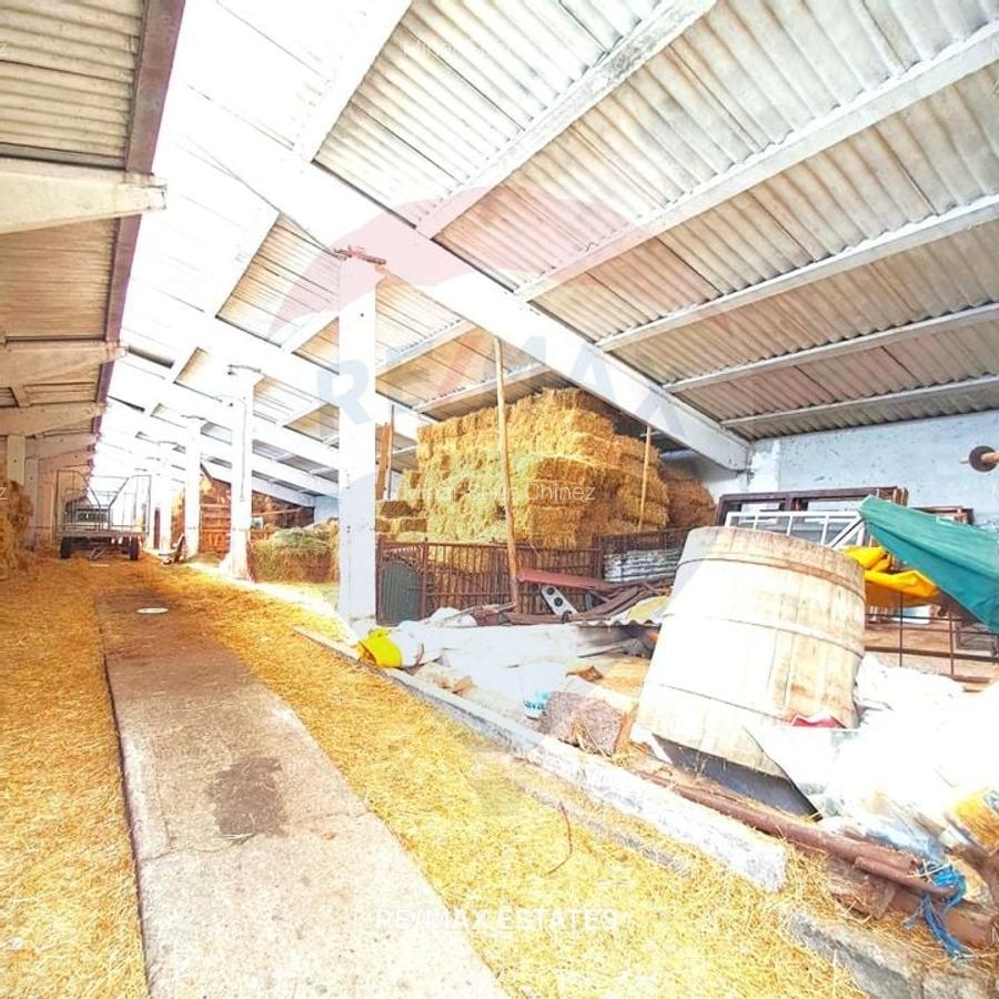 Proprietate speciala de 3,100 mp de vanzare in Maierus - 13