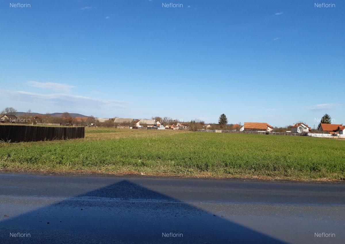 Vanzare teren intravilan construibil Lunca Calnicului - 4