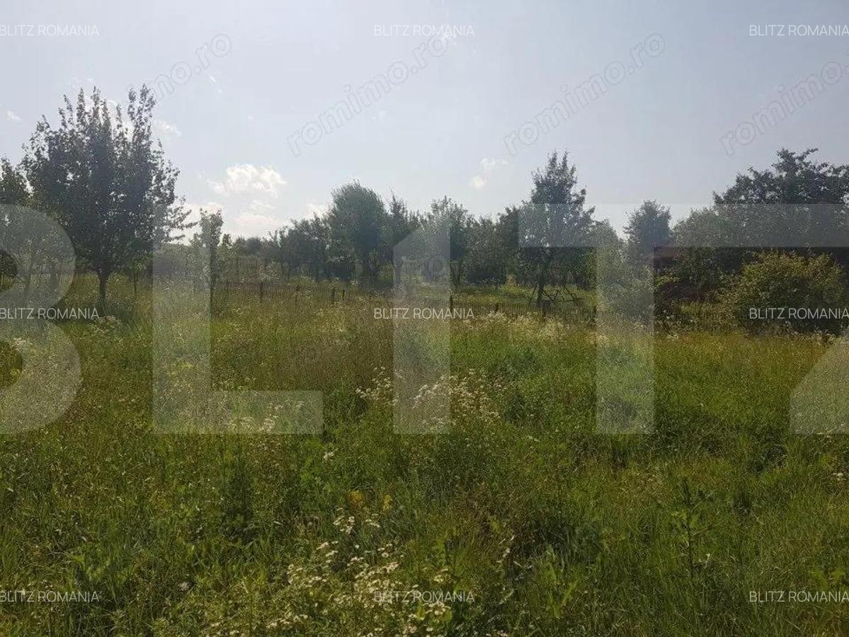 Teren intravilan Campenesti, 11600 mp, 43 ml front, pentru ansamblu de case! - 2