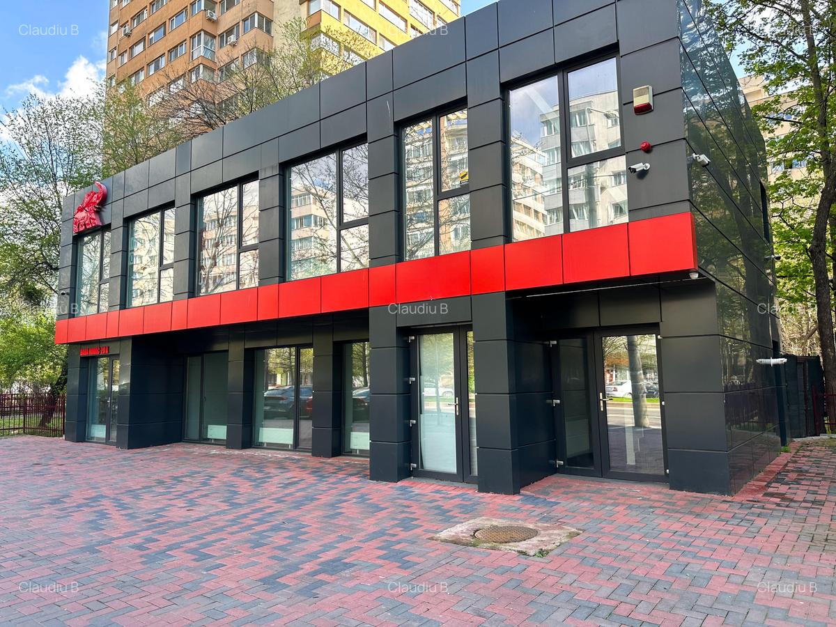 Spațiu comercial, 224 mp în Dristor - 9