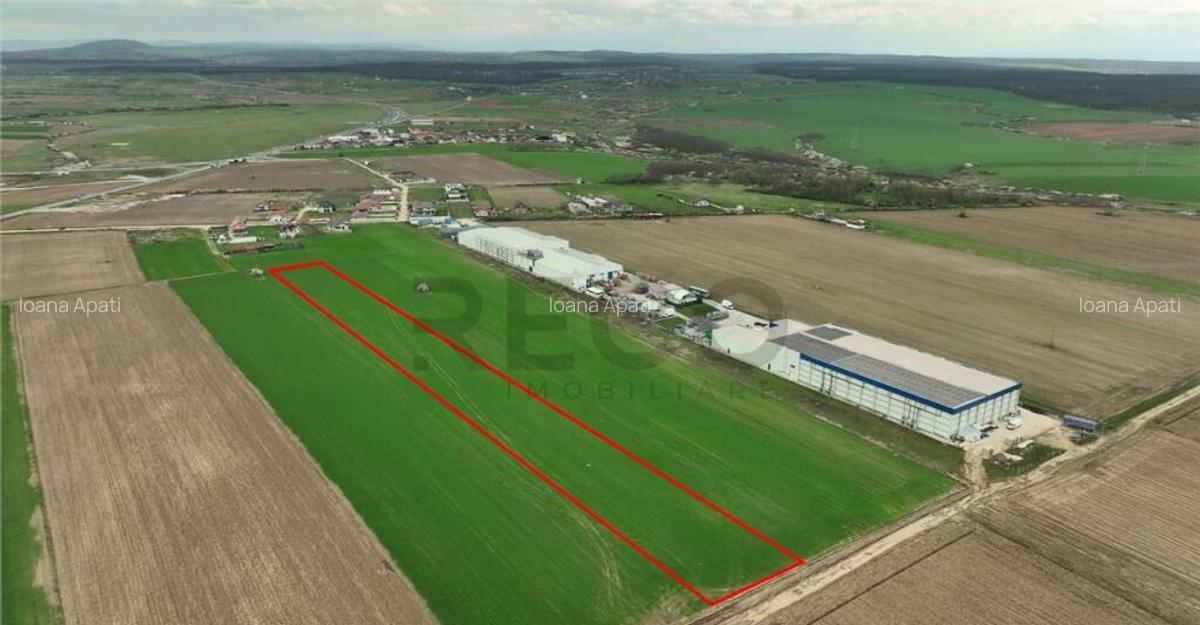 Teren pentru parcelat in Apateu - 3