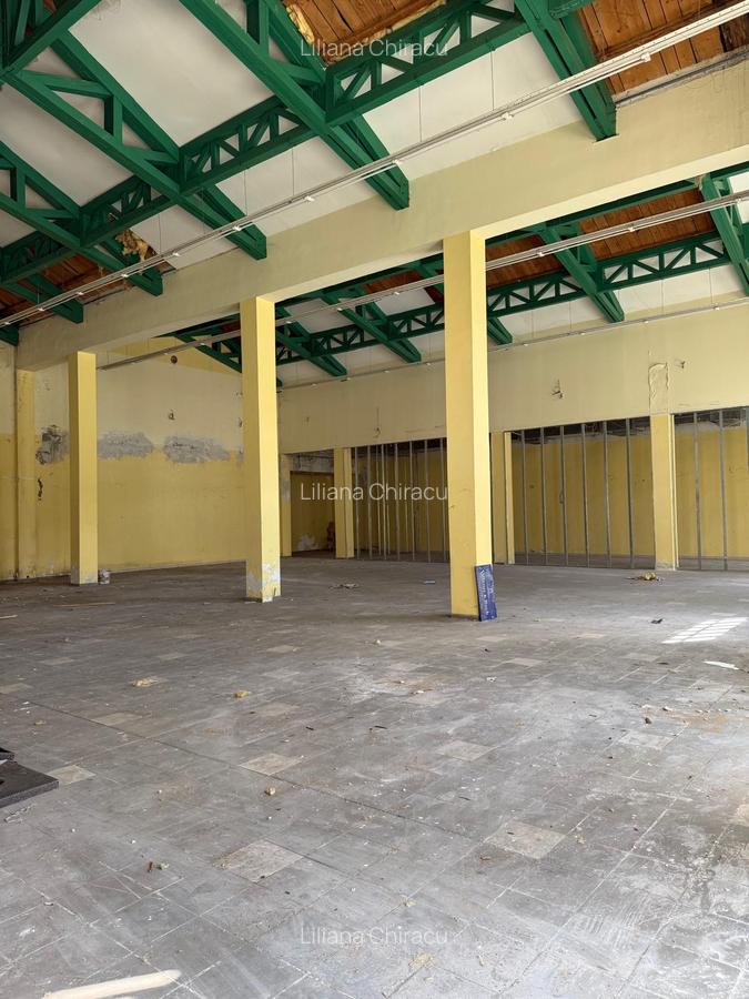 PROPRIETATE UNICA IN BUCURESTI - 5660 MP, TEREN 4736 MP - "VIILOR" - 5