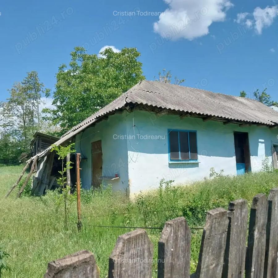 Vand casa batraneasc - 2