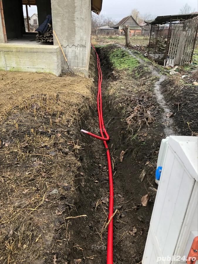 Casa Becicherecul Mic - 9