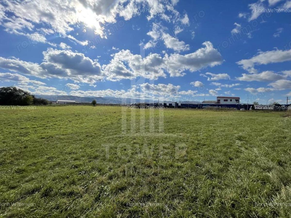 Teren industrial de vanzare in Cristian 6.000 mp, deschidere la drum asfaltat - 5