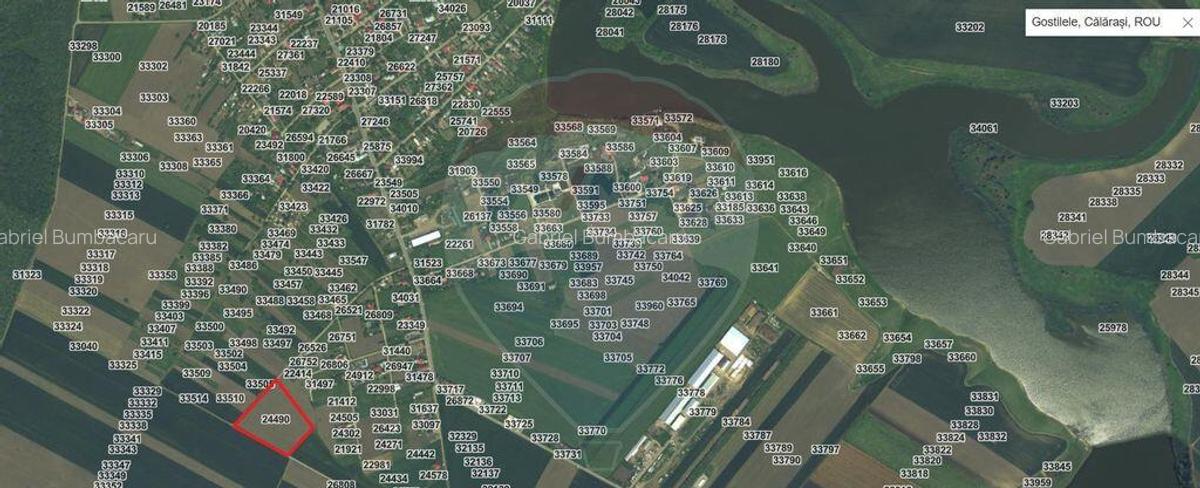 Teren intravilan - 17.500 mp - Gostilele Fundulea - 4 Teren intravilan - 17.500 mp - Gostilele Fundulea - 4