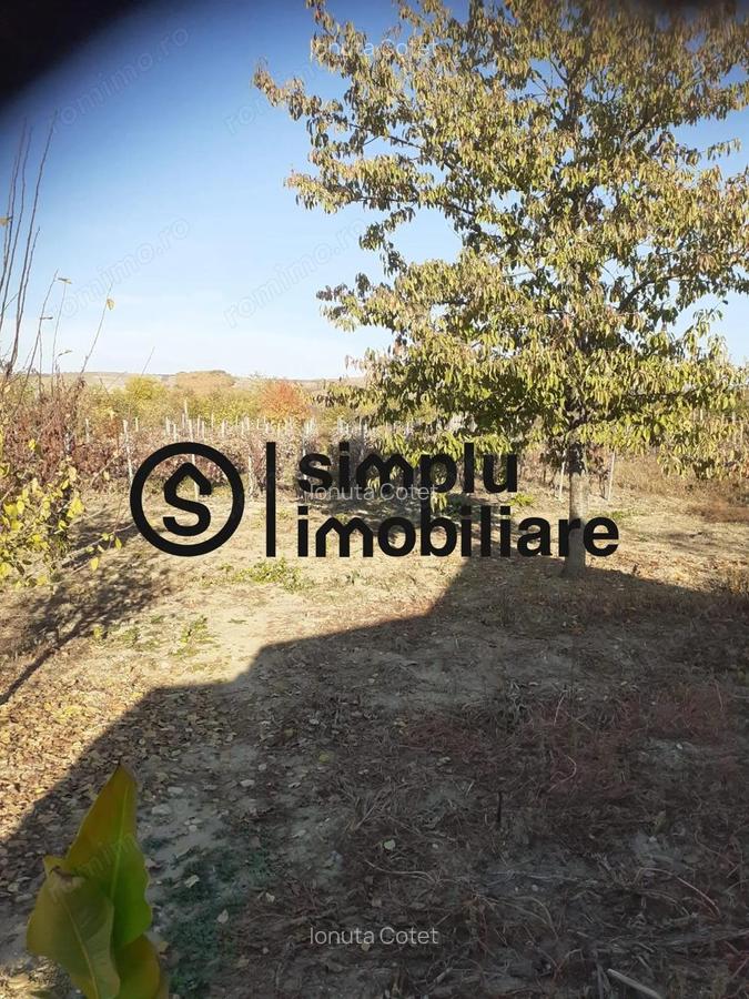 Casa Bradesti, teren 1239 mp - 29 995 Euro - 2