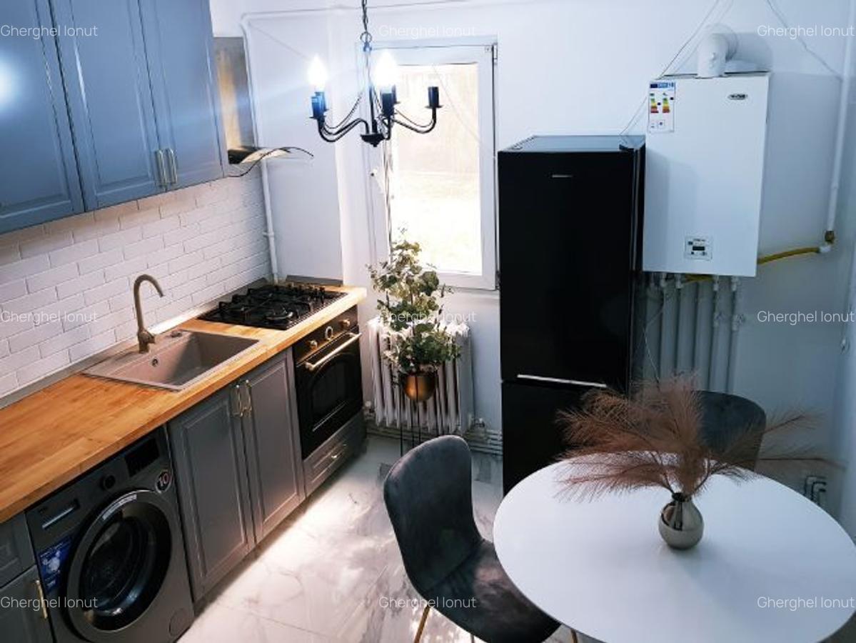 Persoana fizica, Apartament 2 camere Podu ros - Cantemir - Palas, lux, totul nou - 3